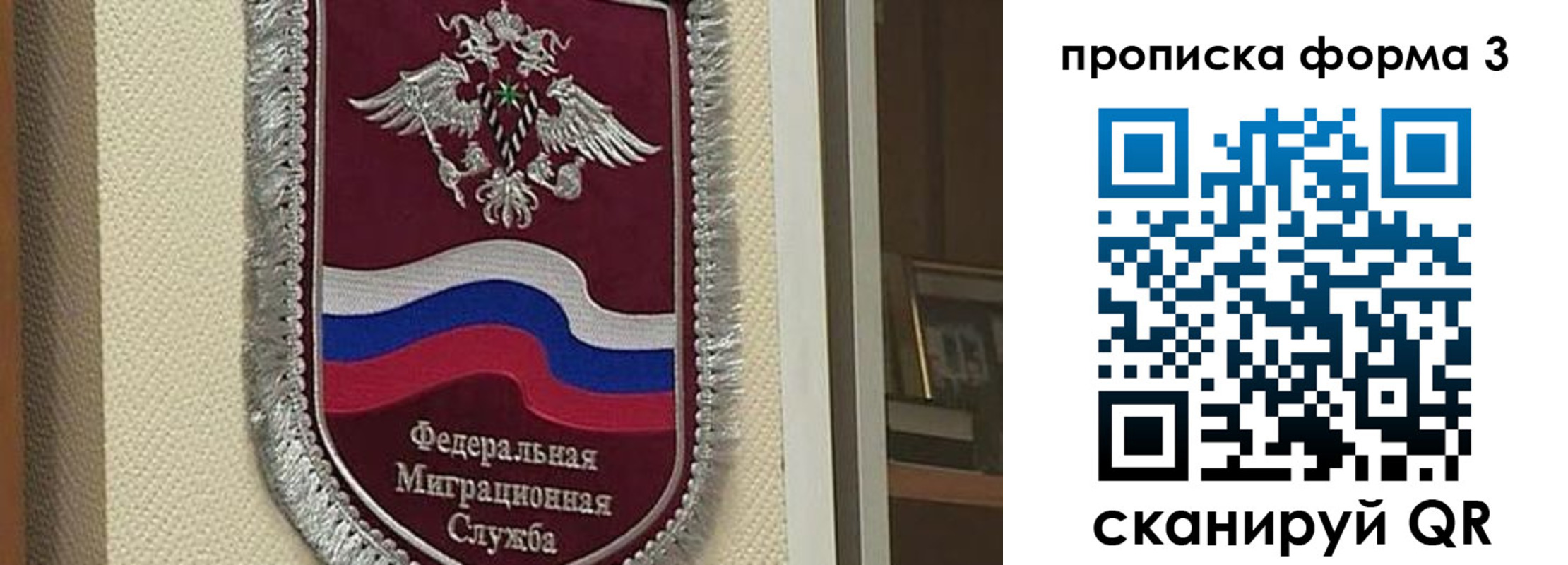 где прописаться в Заинске